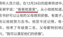 吴谢宇最新爆料,揭秘惊人内幕