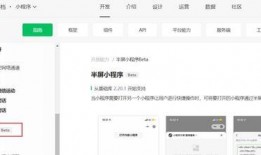 最新微信活动爆料