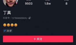 揭秘爆料博主视频大全最新,揭秘网络背后的真相与秘密