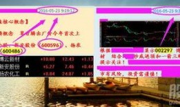 碧波庭最新爆料,揭秘神秘产品背后的科技力量与市场前景