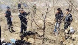 榆林命案最新爆料,细节披露揭示惊人真相