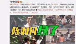 五里村爆料视频最新版,揭秘惊人真相，震撼来袭！